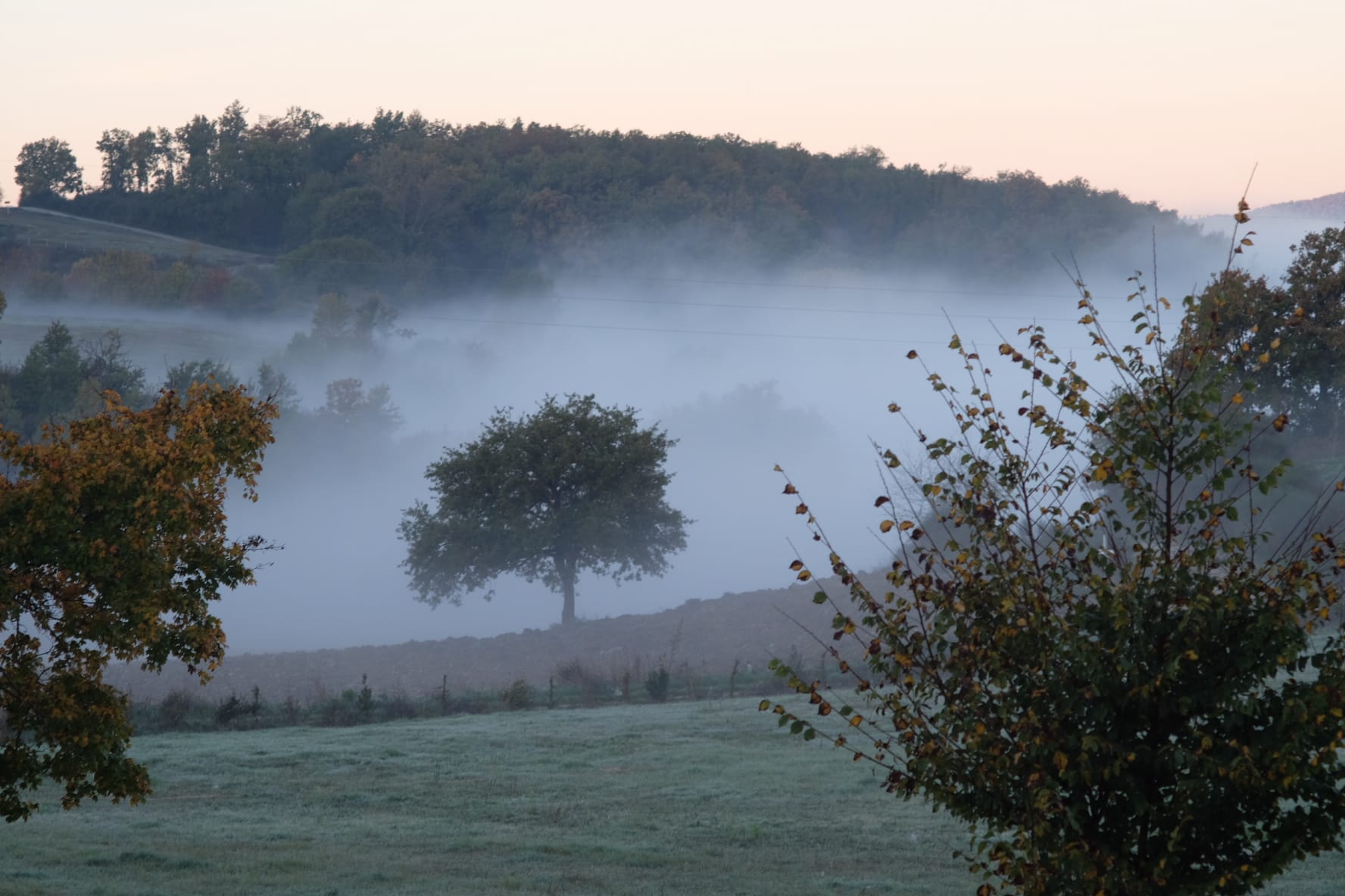 Cosa fare in Umbria in autunno: tartufo, borghi e natura nell’Alta Valle del Tevere